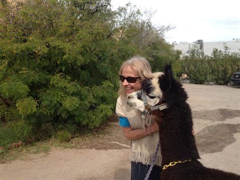 Camels have been famous for the fact that they can live for many. Ann Rodgers survived on plants and creek water, and made a ...