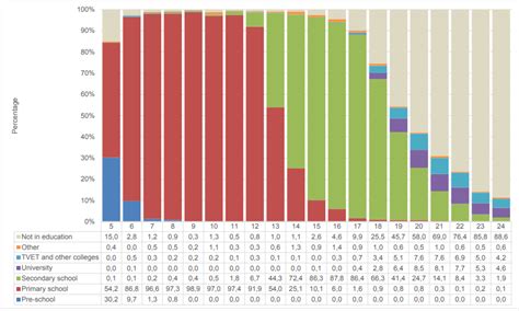 South African Education Statistics