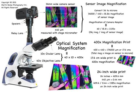 Martin Bailey Photography Microscope Calibration Micrometry And