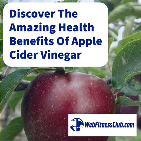 Discover The Amazing Health Benefits Of Apple Cider Vinegar