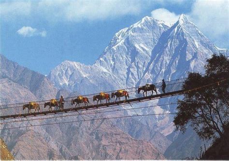 Yet Another Nepali Bridge Id Rather Not Cross Wildlife Tour