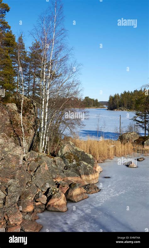 Frozen Lake Lietvesi Puumala Finland Stock Photo Alamy