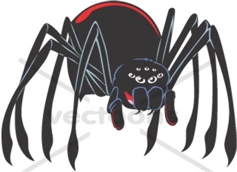 Download High Quality Spider Clipart Realistic Transparent Png Images