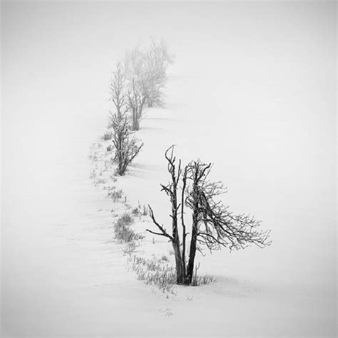 Through The Lens Of Daniel Řeřicha Winter Wonderland