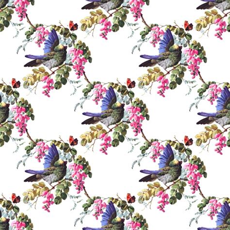 Bird Floral Vintage Background Free Stock Photo Public Domain Pictures