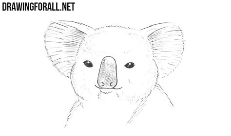 Https://techalive.net/draw/how To Draw A Koala Face