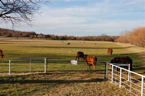 Acres County Rd Alvord TX Land And Farm