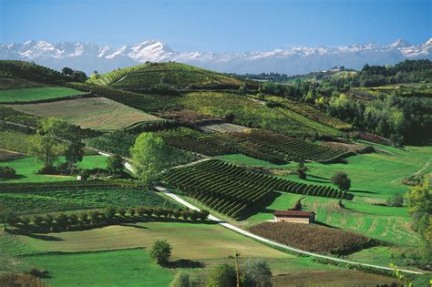 Wines Of The Piedmont Terroirs Travels
