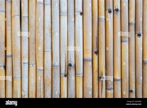 Bamboo Fence Texture Stock Photo Alamy