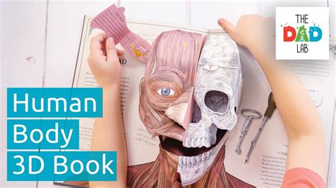 How The Human Body Works Pop Up Book Youtube