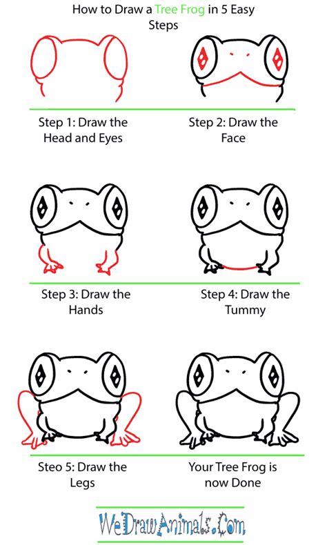 How To Draw A Cute Tree Frog