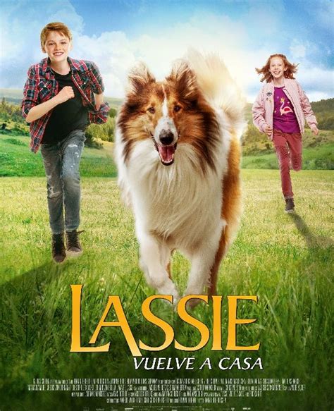 ‘lassie Vuelve A Casa El Próximo 1 De Octubre