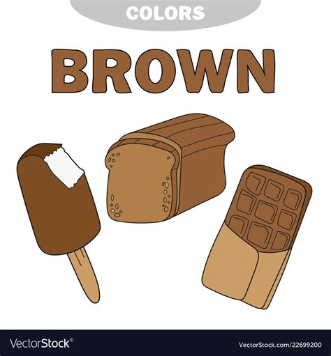Learn The Color Brown Things Royalty Free Vector Image