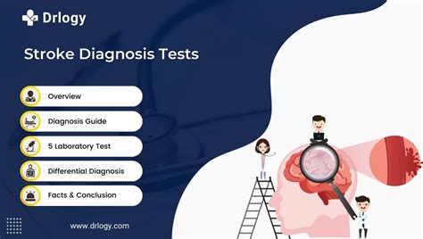 5 Accurate Stroke Diagnosis Test For Immediate Intervention Drlogy
