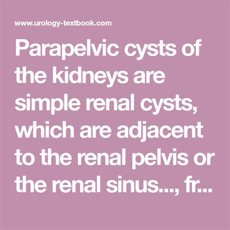 Parapelvic Cysts Of The Kidneys Are Simple Renal Cysts Which Are