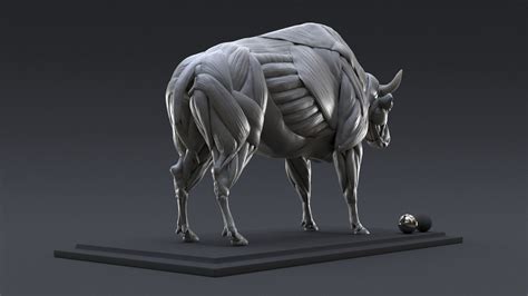 ArtStation - Bison Study n°1 : Muscles, Nicolas MOREL | Wolf sculpture ...