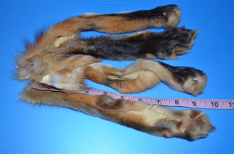Set Of 4 Red Fox Paws With Legskins Tanned 7 10 598 Etsy