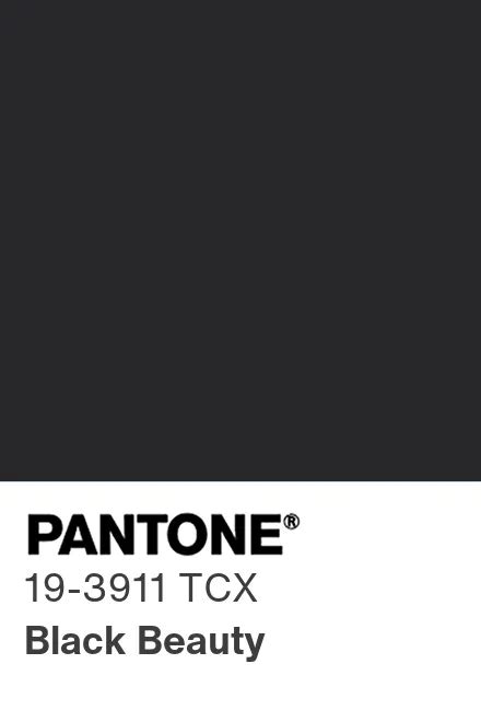 Pantone® Usa Pantone® 19 3911 Tcx Find A Pantone Color Quick