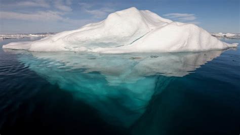 What Is Canadas Iceberg Alley The Scuba News