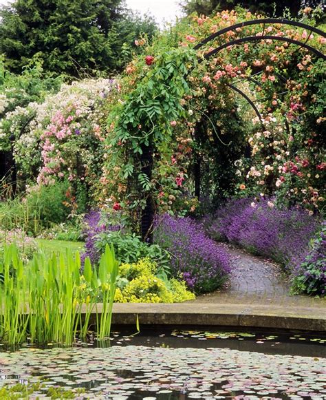 16 Garden Ideas How To Place Plant And Grow A Clematis Vine Pith