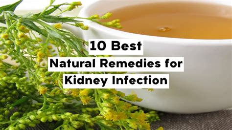 10 Best Natural Remedies For Kidney Infection Youtube