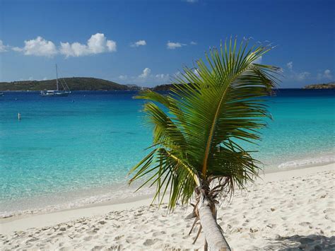 Blue Palm Villa St John House Rentals In The Us Virgin Islands