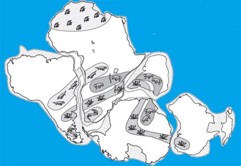 We did not find results for: Lesson Pangaea - Wegener's Puzzling Evidence | BetterLesson