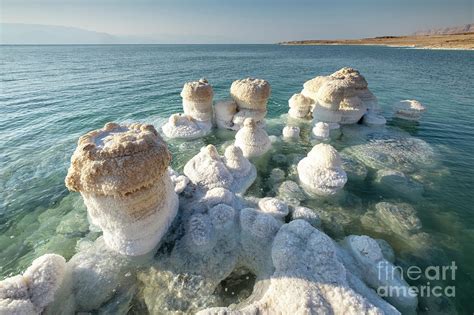 Salt Formationdead Sea Israel J9 Photograph By Dan Yeger Pixels