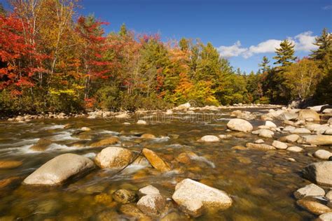 River Through Fall Foliage Swift River New Hampshire Usa Stock Image