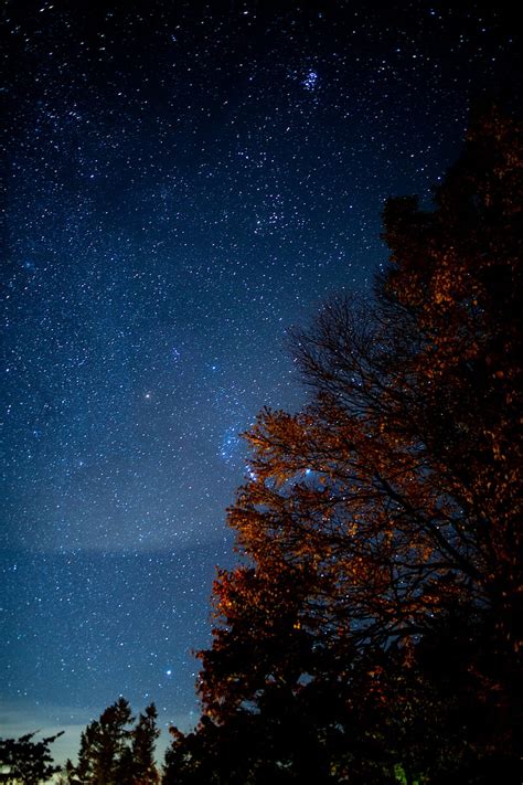 Tree Starry Sky Night Stars Darkness Hd Phone Wallpaper Peakpx