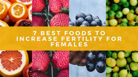 7 best foods that increase fertility in females for getting pregnant fast youtube