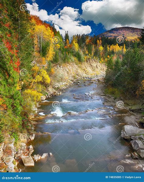 Autumn Creek Woods And Rocks In Forest Mountain Stock Image Image Of