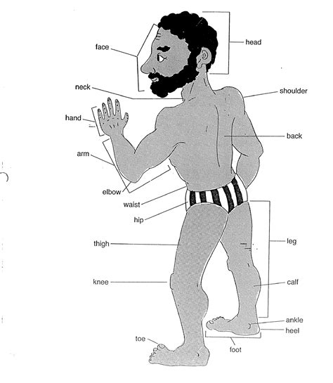 Body Parts Diagram My Body Human Body Parts Diagram On My XXX Hot Girl