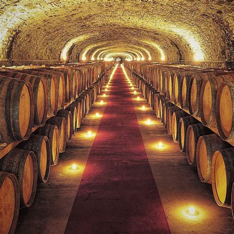 This Is Castellomonsanto Wine Cellar One Of The Most Beautiful Cellar In Italy Great