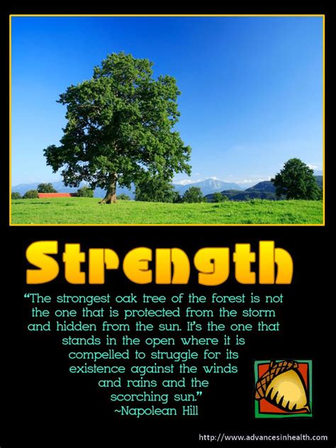 Discover and share mighty oak tree quotes. Oak Tree Strength Quotes. QuotesGram