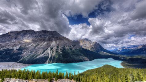 Free Download View Of The Peyto Glacier Fed Lake Banff National Park 4k