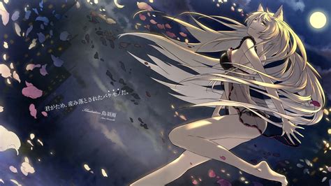 Wallpaper Ilustrasi Hanekawa Tsubasa Monogatari Series Nekomimi Gadis Anime Sawarineko