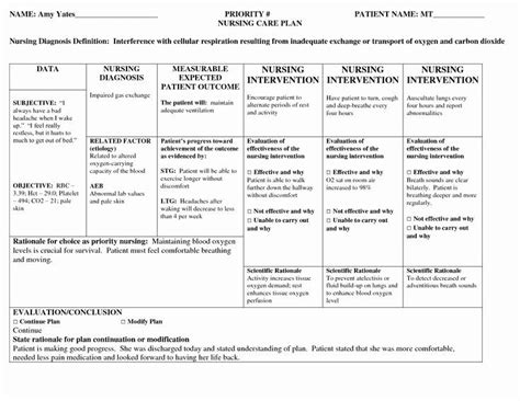 Nursing Teaching Plan Template Shooters Journal Teaching Plan