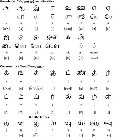 Fay In Tamil How To Use Fay In Tamil Learn Tamil