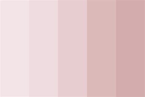 Nude Blush Color Palette Nude Color Palette Blush Color Palette
