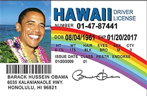 Your First Time Hawaii Drivers License Guide Driving Guide