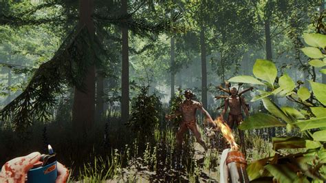 The forest is a survival horror video game developed and published by endnight games. Open-World Survival Game 'The Forest' Gets Beta VR Support ...