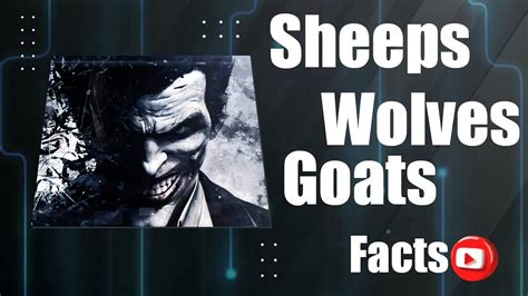 Sheeps Wolves Goats Facts Youtube