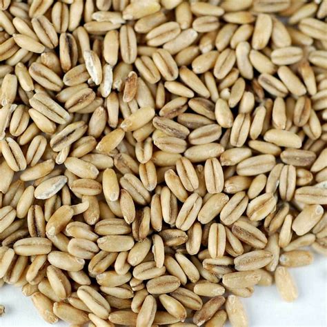 With the shift towards healthy living, almost everyone has either heard of oats or has. ORGANIC HULLED OATS - OAT GRAIN - OAT GROATS - FOOD ...