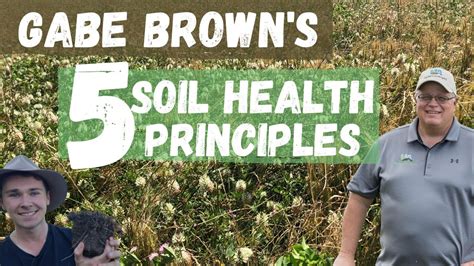 Gabe Browns 5 Principles Of Soil Health Regenerative Agriculture