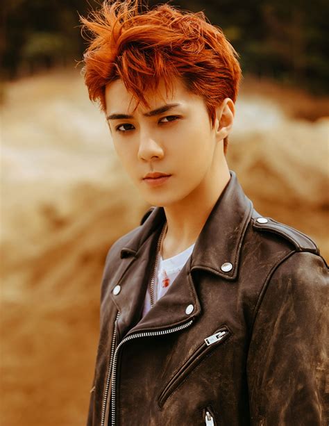 Update Exos Sehun Rocks The Bad Boy Look And More In Teasers For Don