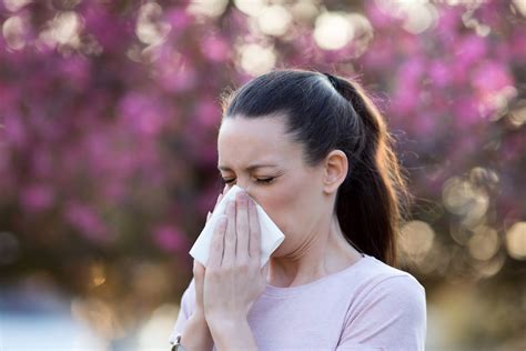 Vous êtes Allergique Au Pollen Voici Les Gestes à Adopter Et à éviter
