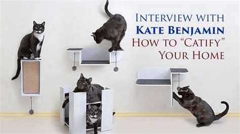Interview With Kate Benjamin How To Catify Your Home Cat Furniture
