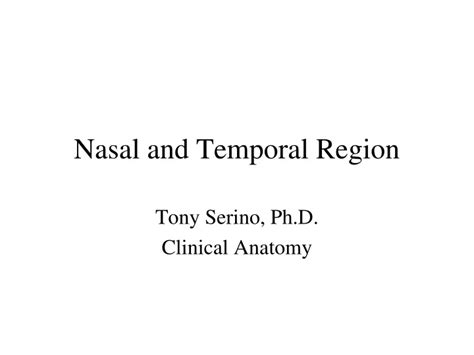 Ppt Nasal And Temporal Region Powerpoint Presentation Free Download