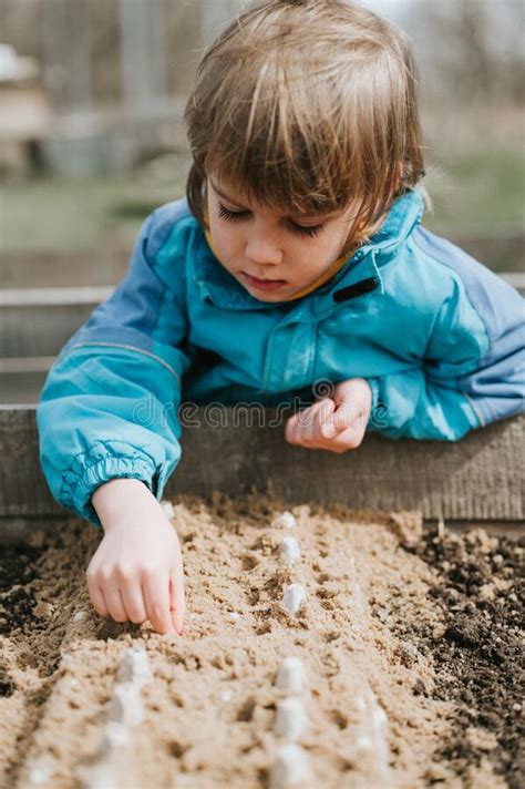 Spring Planting Seeding In Farm Garden Little Six Year Old Kid Boy